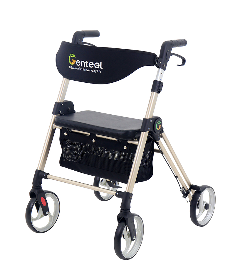 Easy Stride Rollator
