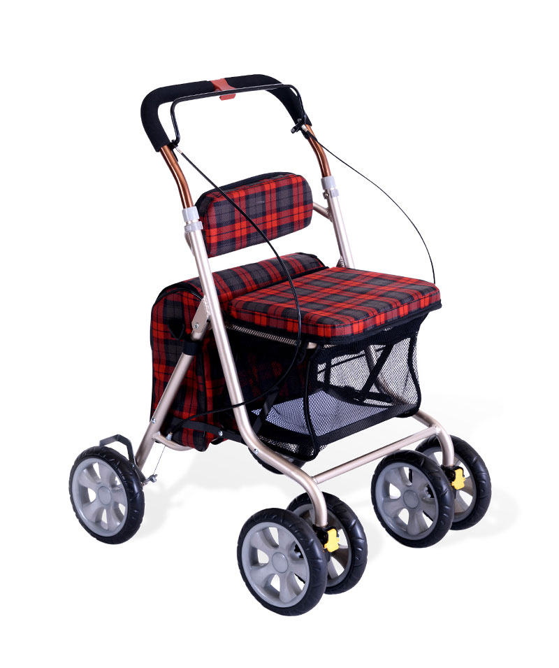 2412 Shopping cart