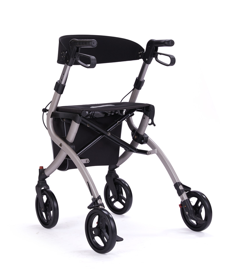 9607 V1.0 Venus Outdoor Rollator