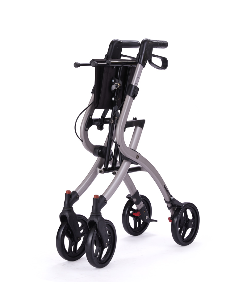 9607 V1.0 Venus Outdoor Rollator