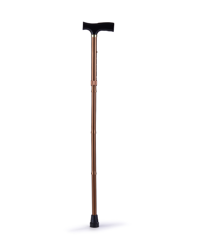 Folding Cane