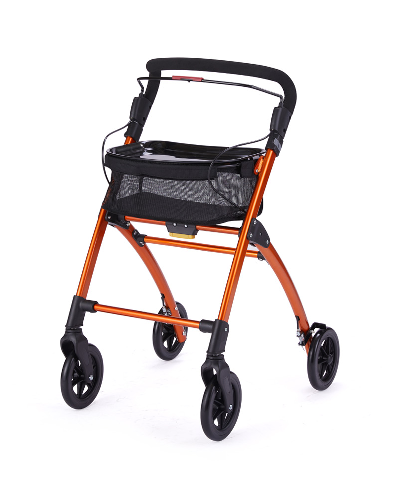 Oval Indoor Rollator 2.0