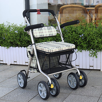 Shop all you need with our shopping trolley